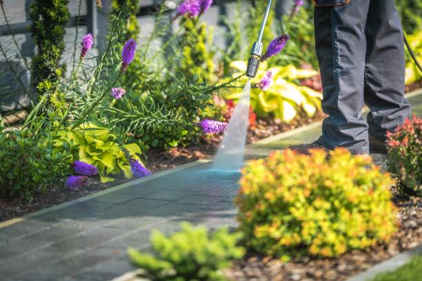 Best Driveway Pressure Washing  in Elk Grove, CA